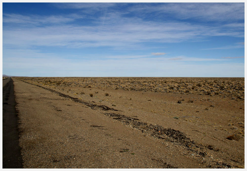 Argentinische Pampa, Patagonientour