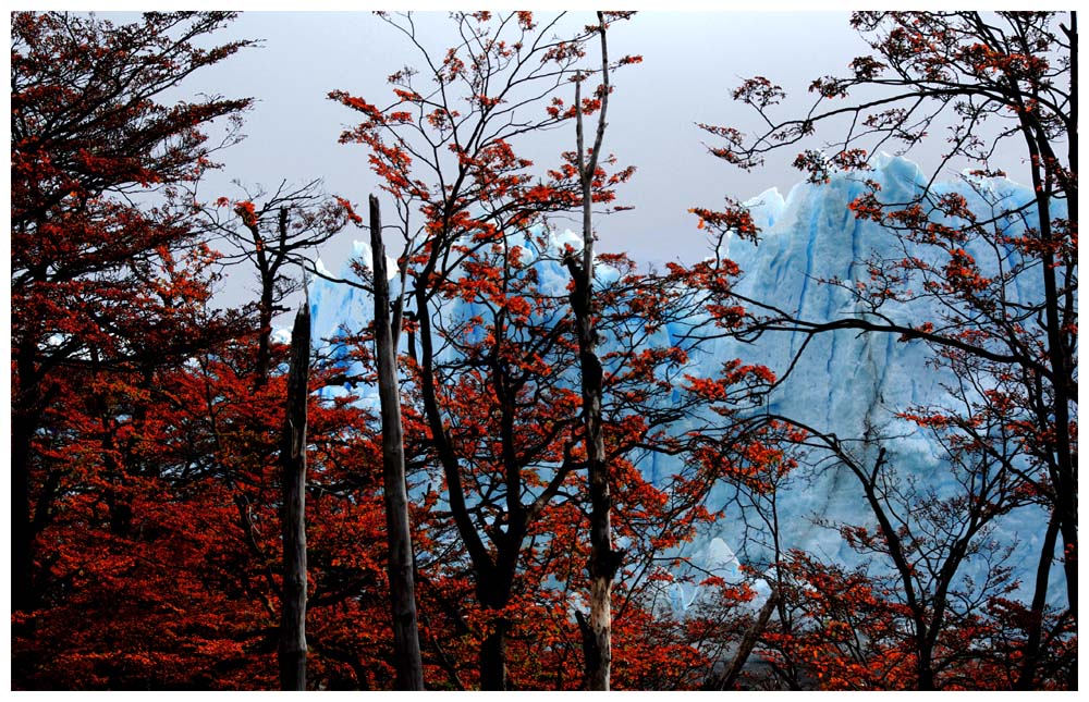 Patagonientour, Perito Moreno Gletscher