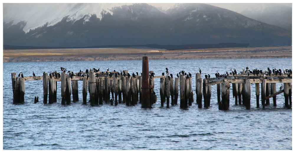 Chile, Patagonien, Puerto Natales