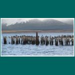 Img_3602_Puerto_Natales.jpg