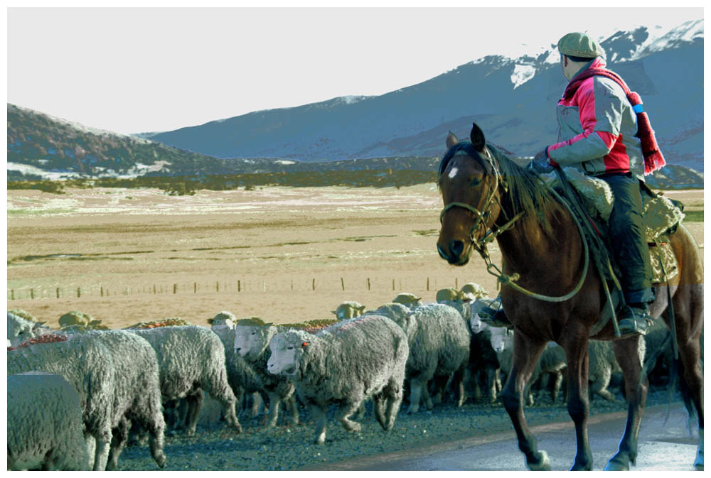 Patagonientour, Ovejero, Gaucho