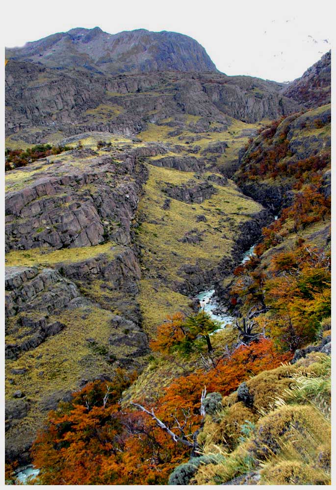 Patagonientour, Wanderung zum Mirador Torre, El Chaltén