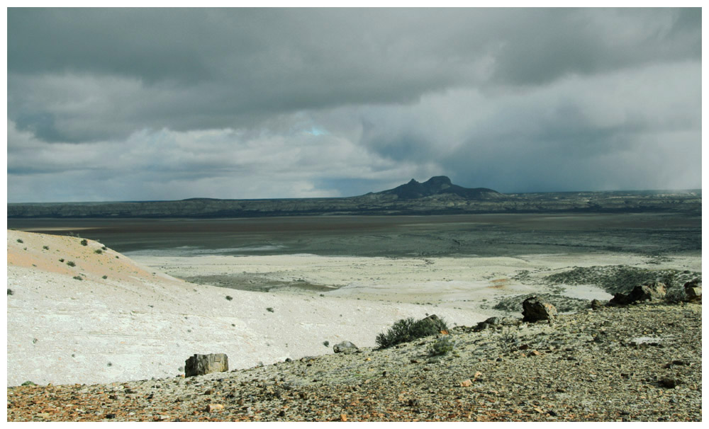 Patagonientour, Versteinerte Waelder