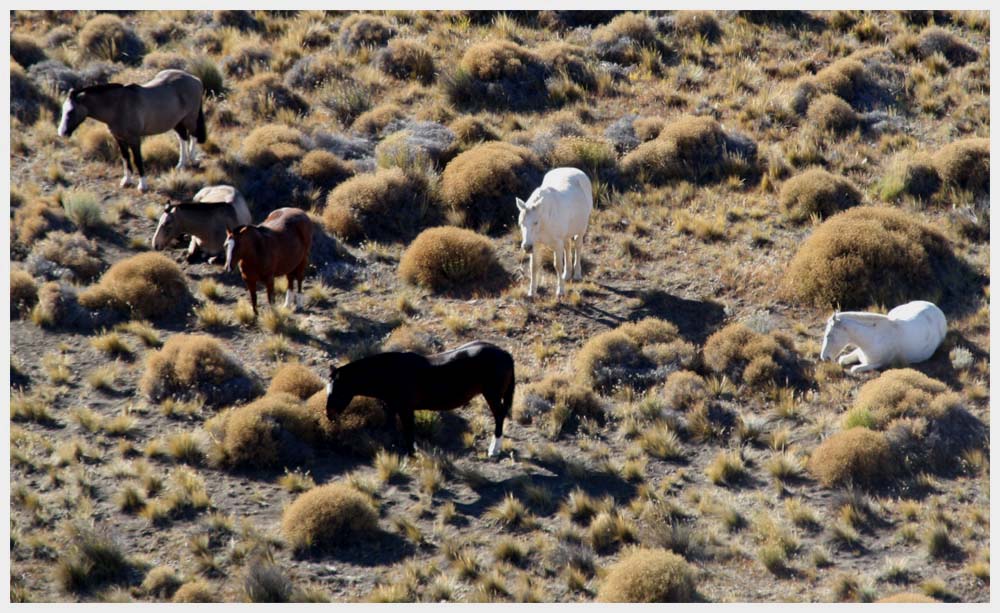 Valle Encantado