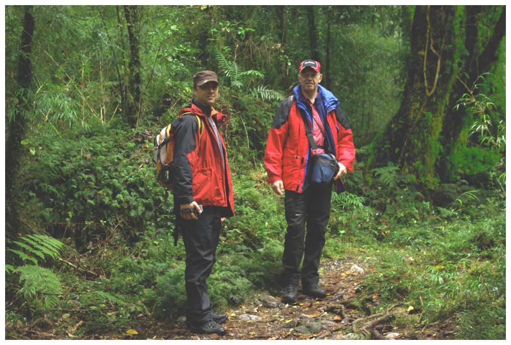 Parque Nacional Alerce Andino