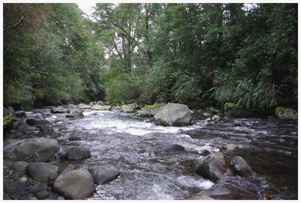 Rio Pescado bei Puerto Varas